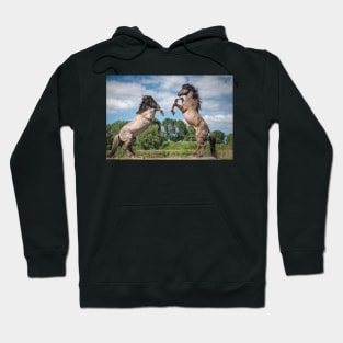 I'll show you how to horse box! Hoodie